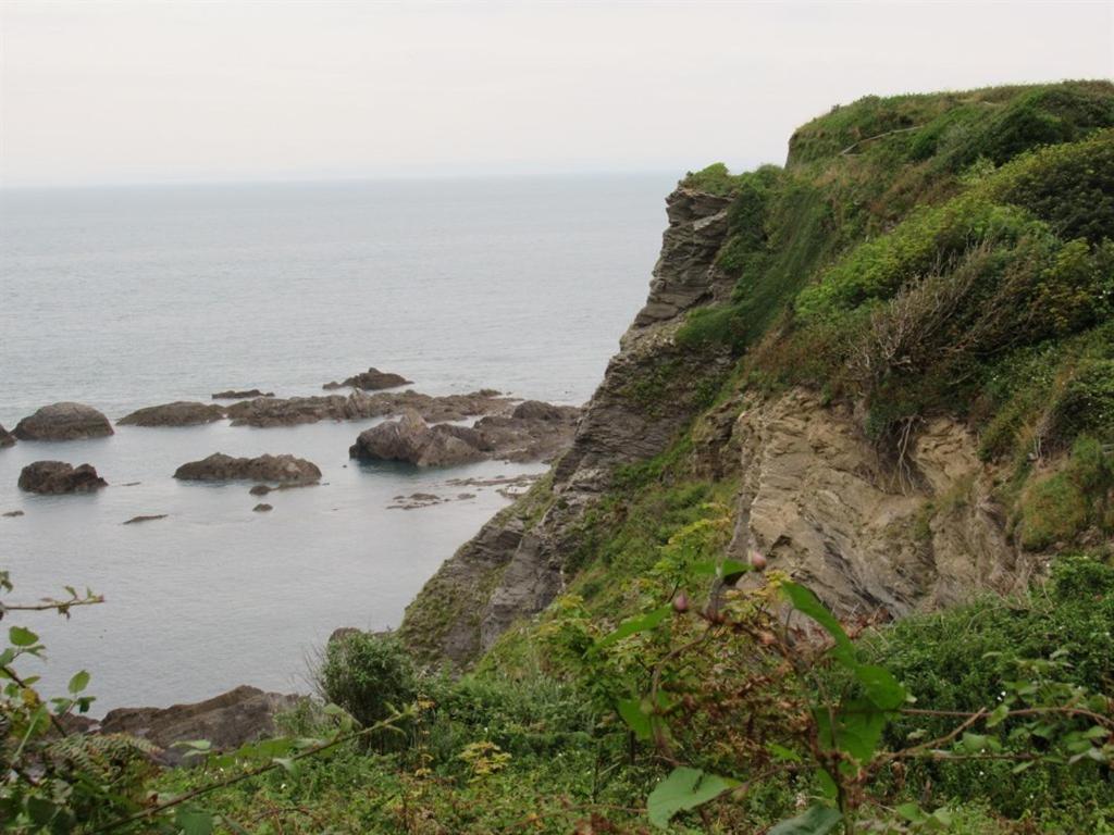 Avoncourt Lodge Ilfracombe Exterior photo